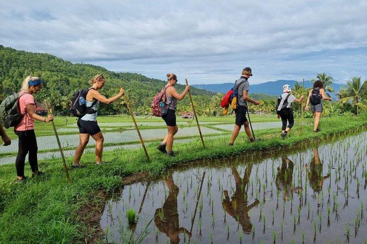 アトゥンカラトレイル10日間バリ海岸から海岸へのウォーキング巡礼