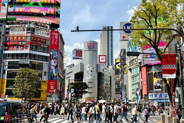 Tokyo privat anpassad tur med bil & Guide : Tsukiji, Asakusa & mer