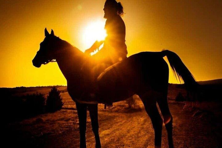 Horseback Ride in Punta Cana with Macao Coast Views