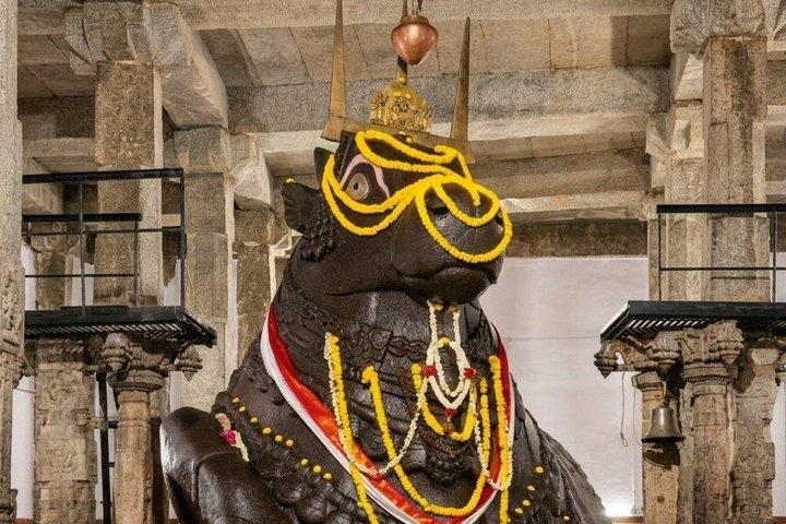 Melhor de Bangalore: Excursão privada de meio dia em Bangalore