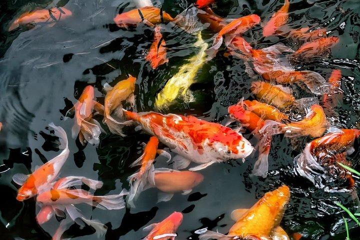 プライベート送迎：上海⇋烏鎮水上城（ドアツードア）