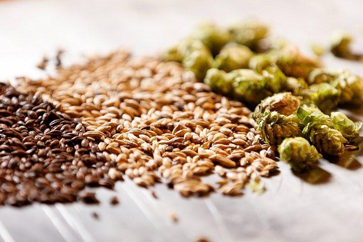 リールでの歴史ある醸造所見学とビール試飲