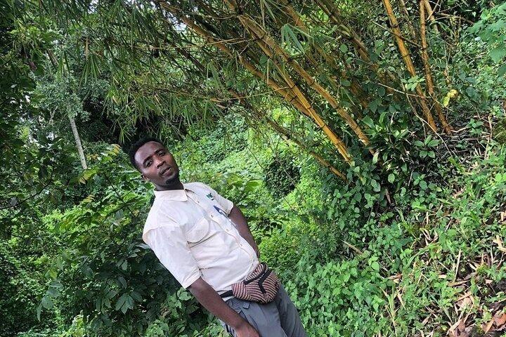 Rwanda Nature Walking Tour no parque e fora do parque