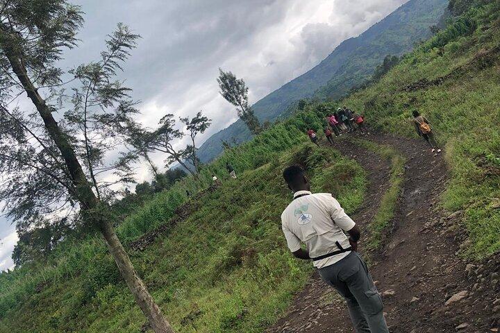 Rwanda Nature Walking Tour no parque e fora do parque