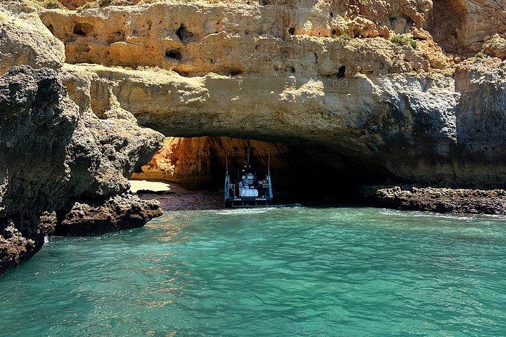 ポルティマン：ベナジル洞窟とイルカ • 海洋生物学者が同行
