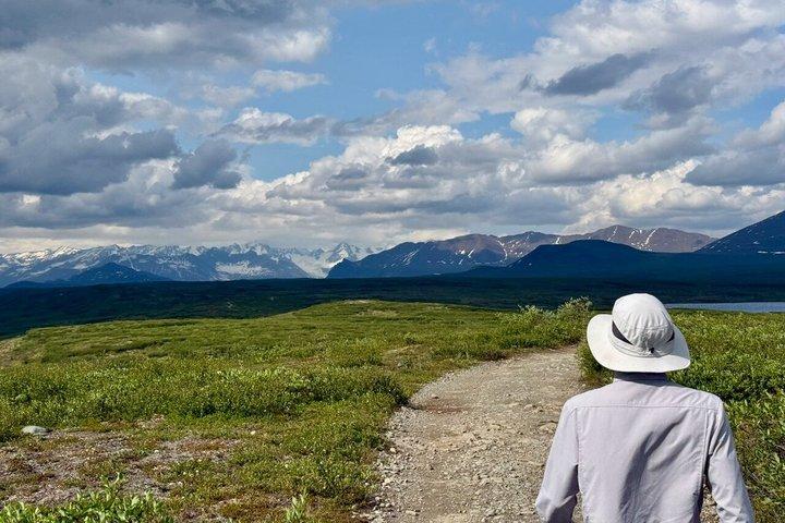 Wild Alaska Tour: Full-Day Scenic Journey from Fairbanks