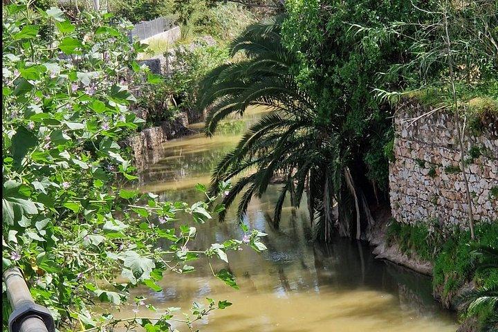 Athens' Podoniftis Stream: A Self-Guided Walking Tour