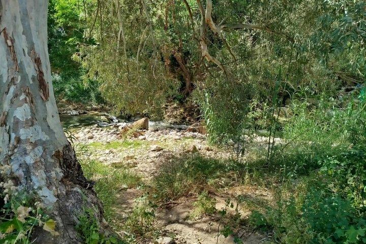 Athens' Podoniftis Stream: A Self-Guided Walking Tour