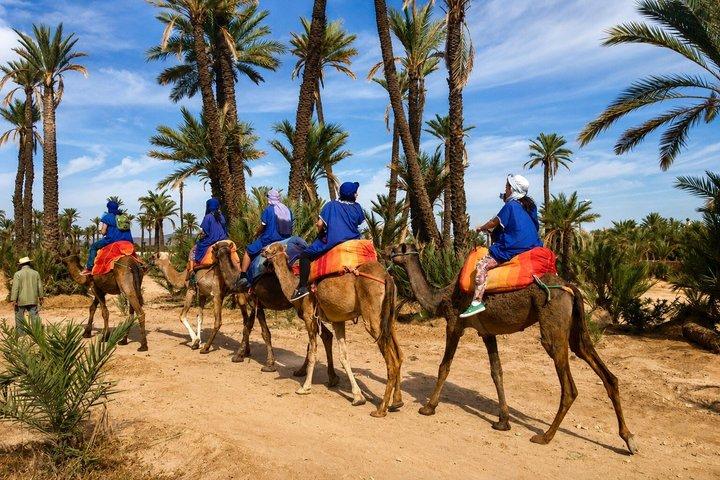 Marrakech Heteluchtballonvaart, Berberontbijt & Kamelenrit