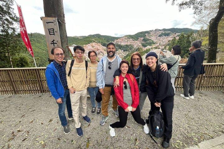 ソメイノ桜ハイキングとユネスコ世界遺産を巡るプライベートツアー
