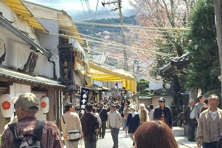 ソメイノ桜ハイキングとユネスコ世界遺産を巡るプライベートツアー
