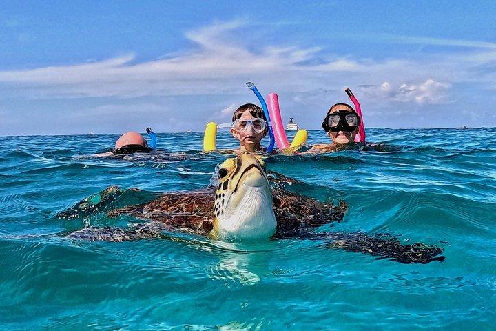 Passeio de mergulho com snorkel de tartarugas em Tres Trapi, Aruba