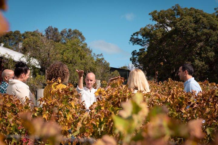 Margaret River Small-Group Curated Wine, Coffee, Lunch & Forest