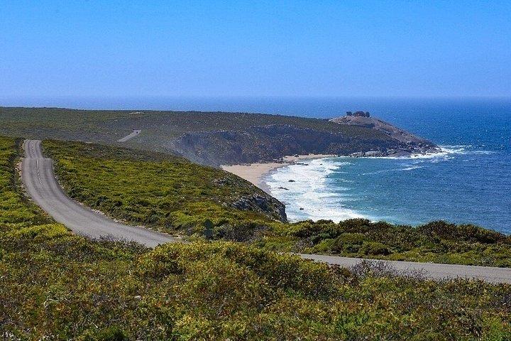 Kangaroo Island Luxury Small Group 'Flinders Chase Focus' Full Day Tour