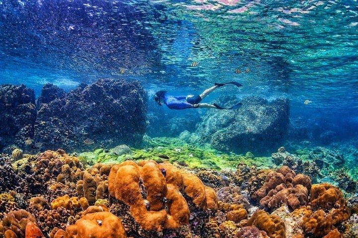 スピードボートで行くピピ島とカイ島のシュノーケリング ツアー (ランチ付き)