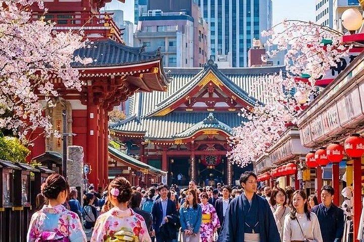 英語ドライバー付き9時間のプライベート＆カスタム東京ツアー