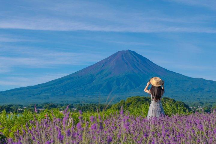 Visite panoramique du Mont Fuji : Lacs, Oshino Hakkai et Pagode de ChureitoTour