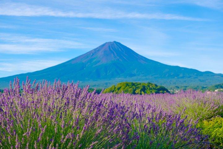 Visite panoramique du Mont Fuji : Lacs, Oshino Hakkai et Pagode de ChureitoTour