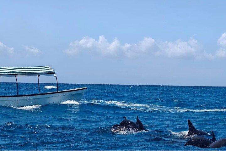 Zanzibar Mnemba Island Snorkeling e avventura di osservazione dei delfini