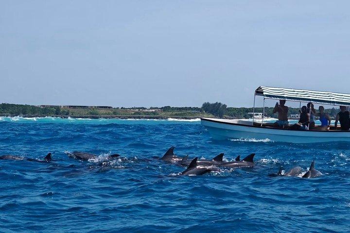 Zanzibar Mnemba Island Snorkeling & Dolphin Watching Adventure