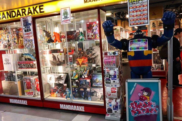 Oplev en heldags madtur i Tokyo