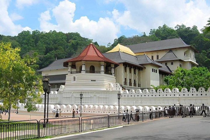 コロンボ・ニゴンボからキャンディとピンナワラへのプライベート日帰り旅行