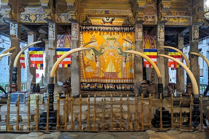 コロンボ・ニゴンボからキャンディとピンナワラへのプライベート日帰り旅行