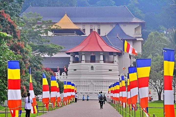 Gita di un giorno a Kandy e Pinnawala da Colombo Negombo