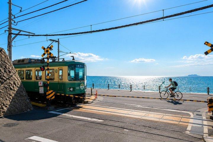 Private Day Tour Kamakura, Shonan Coast and Enoshima from Tokyo