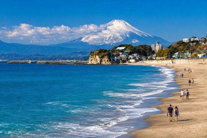 Private Day Tour Kamakura, Shonan Coast and Enoshima from Tokyo