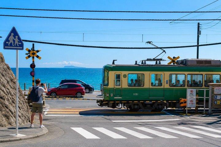 Private Day Tour Kamakura, Shonan Coast and Enoshima from Tokyo