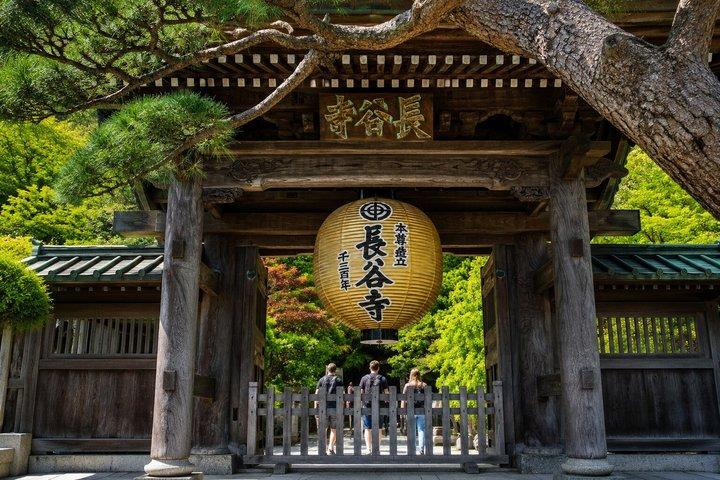 Private Day Tour Kamakura, Shonan Coast and Enoshima from Tokyo