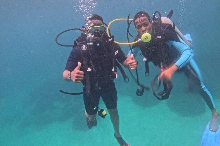 1 dag Wasini snorkeltur
