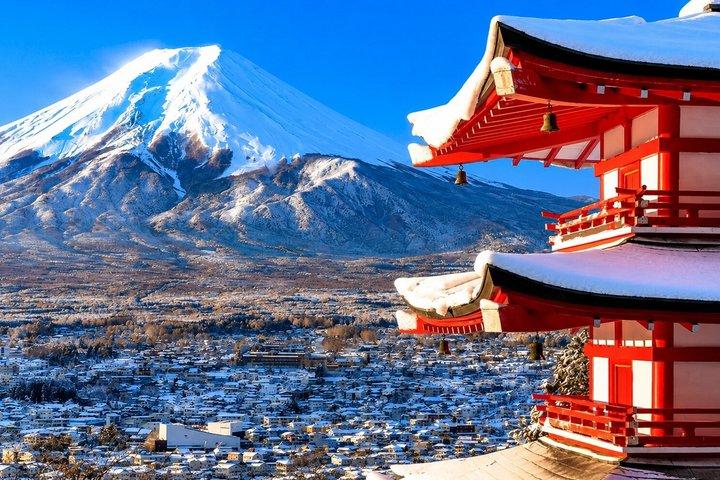 Mount Fuji and Lake Kawaguchi Small Group Minibus Tour from Tokyo