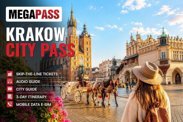 Cracovia : Auschwitz-Birkenau & Schindler's Factory Pass