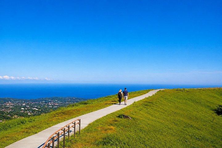 Private Izu Coast Day Trip from Tokyo
