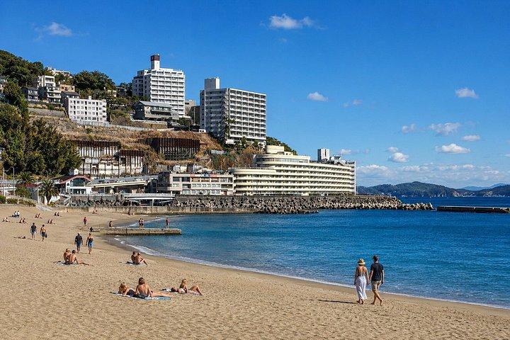 Private Izu Coast Day Trip from Tokyo