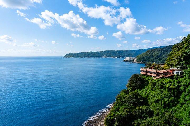 Private Izu Coast Day Trip from Tokyo