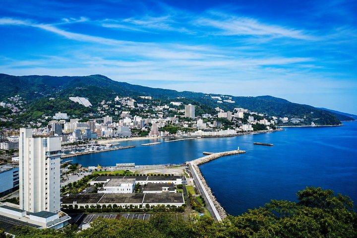 Private Izu Coast Day Trip from Tokyo