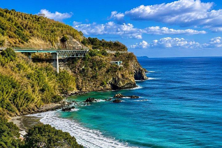 Private Izu Coast Day Trip from Tokyo