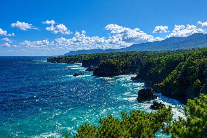 Private Izu Coast Day Trip from Tokyo
