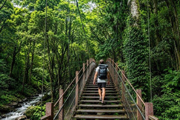 Private Izu Coast Day Trip from Tokyo