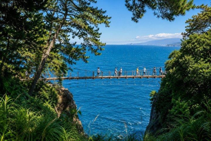 Private Izu Coast Day Trip from Tokyo