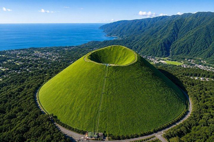 Private Izu Coast Day Trip from Tokyo