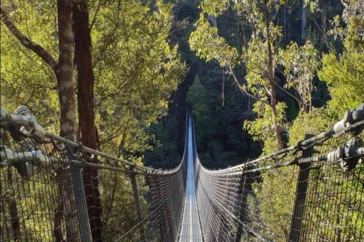 Från Hobart Huon Valley AirWalk och Hastings Cave