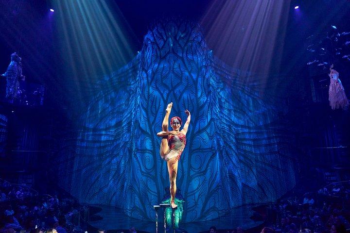 Cirque du Soleil JOYA Ticket in Cancun