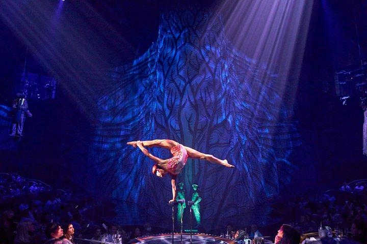 Cirque du Soleil JOYA Ticket in Cancun