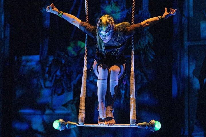 Cirque du Soleil JOYA Ticket in Cancun