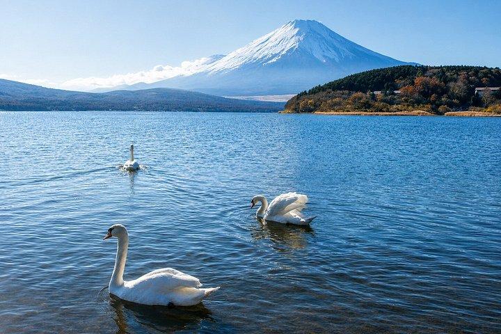 東京発 富士山と山中湖の日帰りプライベートツアー