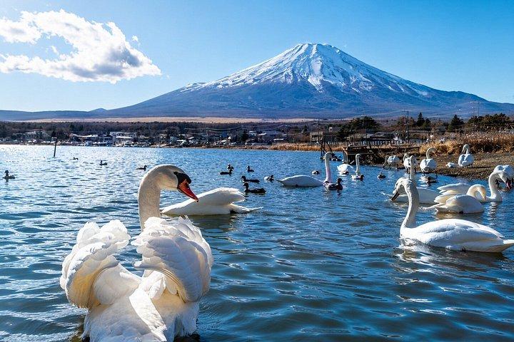 東京発 富士山と山中湖の日帰りプライベートツアー